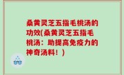 桑黄灵芝五指毛桃汤的功效(桑黄灵芝五指毛桃汤：助提高免疫力的神奇汤料！)