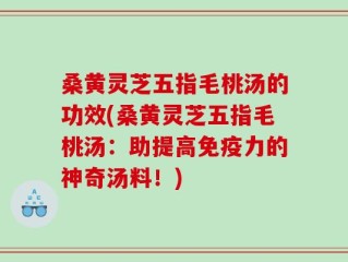 桑黄灵芝五指毛桃汤的功效(桑黄灵芝五指毛桃汤：助提高免疫力的神奇汤料！)