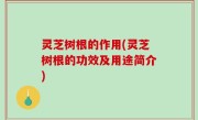 灵芝树根的作用(灵芝树根的功效及用途简介)