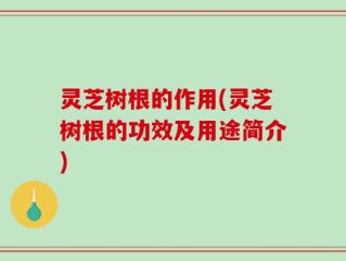 灵芝树根的作用(灵芝树根的功效及用途简介)