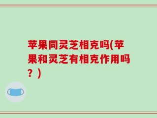苹果同灵芝相克吗(苹果和灵芝有相克作用吗？)