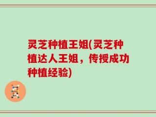 灵芝种植王姐(灵芝种植达人王姐，传授成功种植经验)