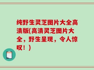 纯野生灵芝图片大全高清版(高清灵芝图片大全，野生呈现，令人惊叹！)