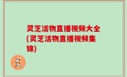 灵芝活物直播视频大全(灵芝活物直播视频集锦)