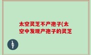 太空灵芝不产孢子(太空中发现产孢子的灵芝