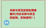 石斛与灵芝区别在哪里图片(对比石斛与灵芝的区别，你知道吗？)