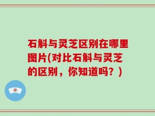 石斛与灵芝区别在哪里图片(对比石斛与灵芝的区别，你知道吗？)