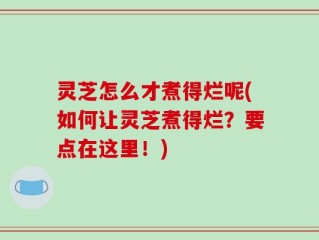 灵芝怎么才煮得烂呢(如何让灵芝煮得烂？要点在这里！)