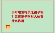 小叶增生吃灵芝孢子粉？灵芝孢子粉对人体有什么作用
