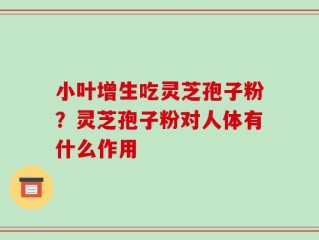 小叶增生吃灵芝孢子粉？灵芝孢子粉对人体有什么作用