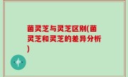 菌灵芝与灵芝区别(菌灵芝和灵芝的差异分析)