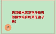 天然椴木灵芝孢子粉天然椴木培育的灵芝孢子粉)