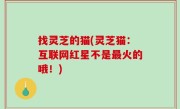 找灵芝的猫(灵芝猫：互联网红星不是最火的哦！)