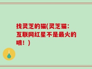 找灵芝的猫(灵芝猫：互联网红星不是最火的哦！)