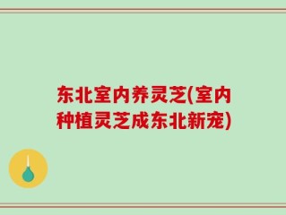 东北室内养灵芝(室内种植灵芝成东北新宠)