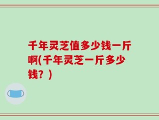 千年灵芝值多少钱一斤啊(千年灵芝一斤多少钱？)