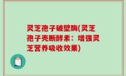 灵芝孢子破壁酶(灵芝孢子壳断酵素：增强灵芝营养吸收效果)