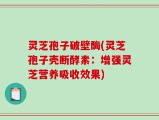 灵芝孢子破壁酶(灵芝孢子壳断酵素：增强灵芝营养吸收效果)