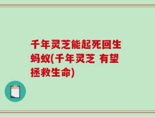 千年灵芝能起死回生 蚂蚁(千年灵芝 有望拯救生命)