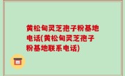 黄松甸灵芝孢子粉基地电话(黄松甸灵芝孢子粉基地联系电话)