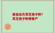 源自远方灵芝孢子粉？灵芝孢子粉哪里产