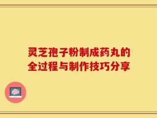 灵芝孢子粉制成药丸的全过程与制作技巧分享
