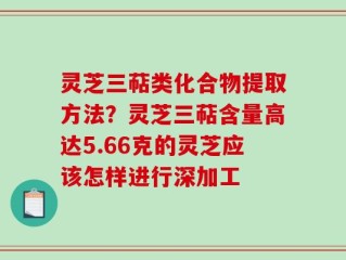 灵芝三萜类化合物提取方法？灵芝三萜含量高达5.66克的灵芝应该怎样进行深加工