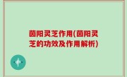 茵阳灵芝作用(茵阳灵芝的功效及作用解析)