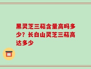 黑灵芝三萜含量高吗多少？长白山灵芝三萜高达多少
