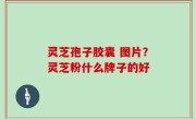 灵芝孢子胶囊 图片？灵芝粉什么牌子的好