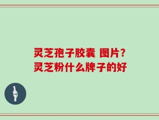灵芝孢子胶囊 图片？灵芝粉什么牌子的好