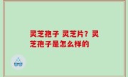 灵芝孢子 灵芝片？灵芝孢子是怎么样的