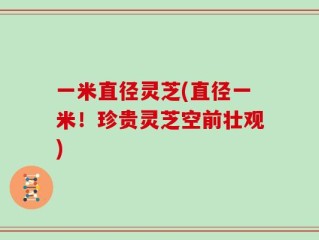 一米直径灵芝(直径一米！珍贵灵芝空前壮观)
