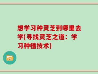 想学习种灵芝到哪里去学(寻找灵芝之道：学习种植技术)
