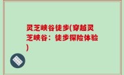 灵芝峡谷徒步(穿越灵芝峡谷：徒步探险体验)