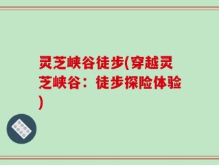 灵芝峡谷徒步(穿越灵芝峡谷：徒步探险体验)