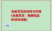 白底灵芝的功效与作用(白底灵芝：保健佳品的功效详解)