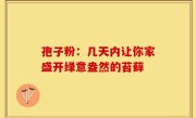 孢子粉：几天内让你家盛开绿意盎然的苔藓