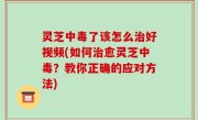 灵芝中毒了该怎么治好视频(如何治愈灵芝中毒？教你正确的应对方法)