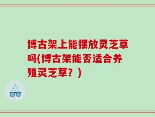 博古架上能摆放灵芝草吗(博古架能否适合养殖灵芝草？)