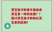 灵芝孢子粉是不是和赤灵芝素一样的东西？？探讨灵芝孢子粉和红灵芝素的区别？