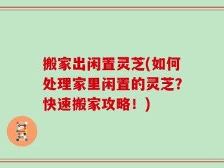 搬家出闲置灵芝(如何处理家里闲置的灵芝？快速搬家攻略！)