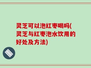 灵芝可以泡红枣喝吗(灵芝与红枣泡水饮用的好处及方法)