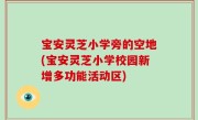 宝安灵芝小学旁的空地(宝安灵芝小学校园新增多功能活动区)