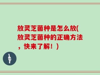 放灵芝菌种是怎么放(放灵芝菌种的正确方法，快来了解！)
