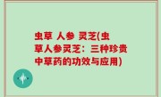 虫草 人参 灵芝(虫草人参灵芝：三种珍贵中草药的功效与应用)