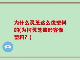 为什么灵芝这么像塑料的(为何灵芝被形容像塑料？)