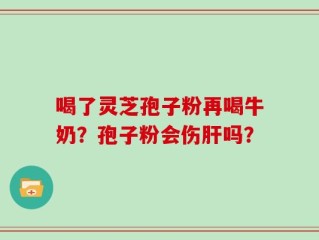 喝了灵芝孢子粉再喝牛奶？孢子粉会伤肝吗？