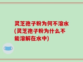 灵芝孢子粉为何不溶水(灵芝孢子粉为什么不能溶解在水中)
