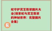 蛇守护灵芝翡翠图片大全(探索蛇与灵芝翡翠的神秘世界：完整图片合集)
